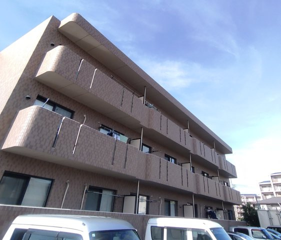 BRAIN上瓦屋NEWHOPE