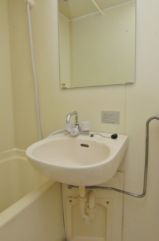 メゾン・ド・ルウィールの洗面所