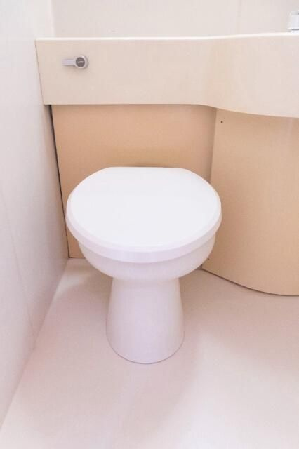 ドルミ大塚のトイレ