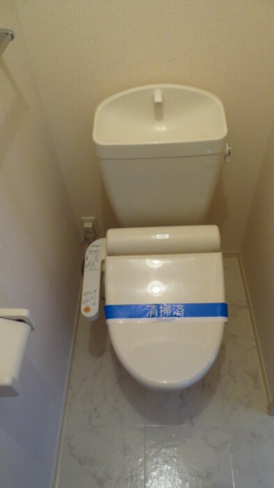グランディール　Ｊのトイレ|落ち着いたトイレです