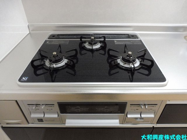 グリンデルヴァルトのキッチン