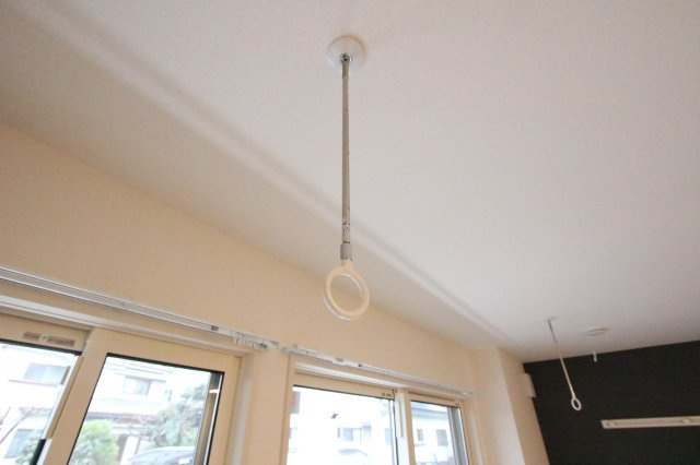 Volpeのその他