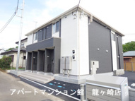 sakuraの画像