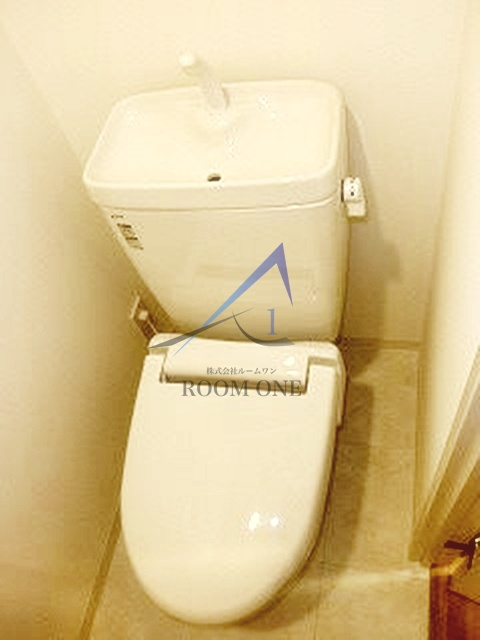 ＲＩＳＥ ＮＡＫＡＮＯＳＨＩＮＢＡＳＨＩのトイレ|トイレです。