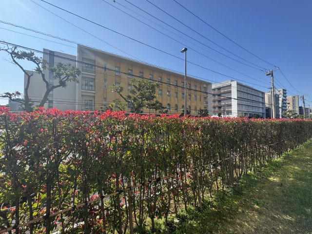 木場サニータウンのその他|お手入れの行き届いた植栽です♪