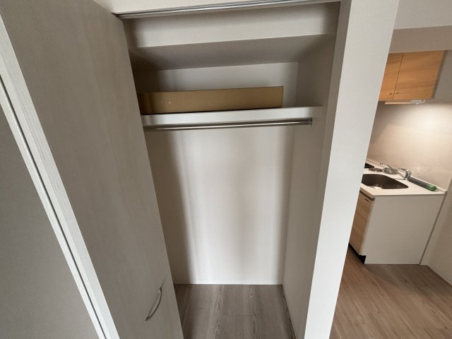 Ｌｕｃｅ　Ⅶの収納