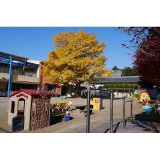 シャトル金山の周辺|幼稚園・保育園「久留米みのり保育園まで634ｍ」