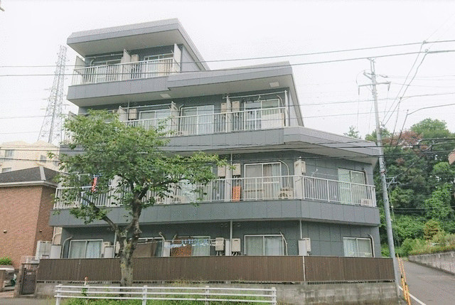 ハイムロベリアの画像