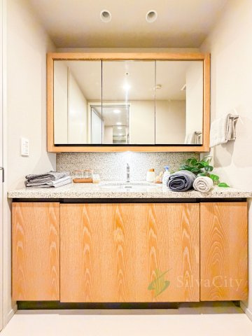 ブランズ麻布狸穴町の独立洗面台|独立洗面化粧台