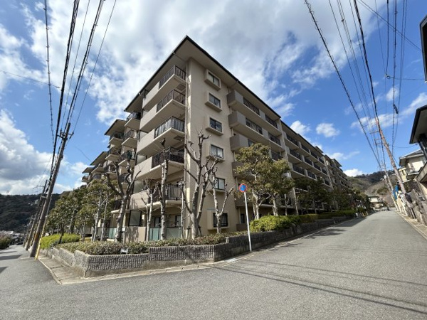 サンシティ桂坂ロイヤル参番館の画像
