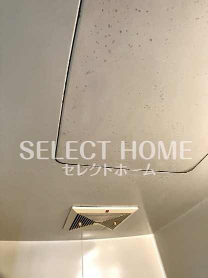  | ジュネス羽根
