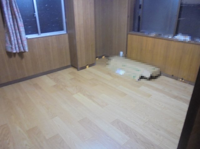 和歌山市本脇・中古戸建・54768の洋室