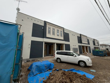 コスモスの画像