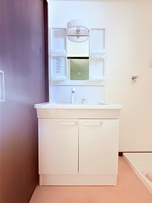 ビオス筑後の独立洗面台