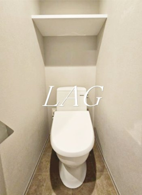 【トイレ】 | ディアレイシャス蒲田Ⅱ | トイレです。