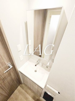 【洗面所】 | ディアレイシャス蒲田Ⅱ | 独立洗面台です。