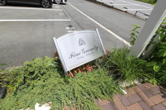 【その他】 | ファイングランディ