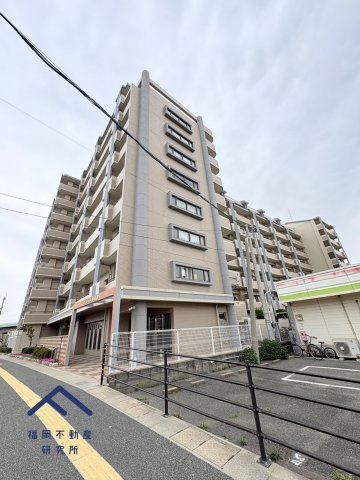 アムール和白駅のその他