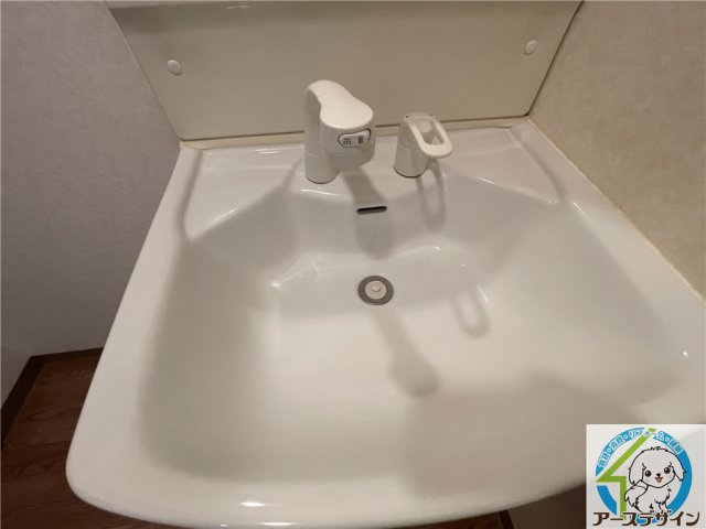 シェルル・ハナミズキの独立洗面台