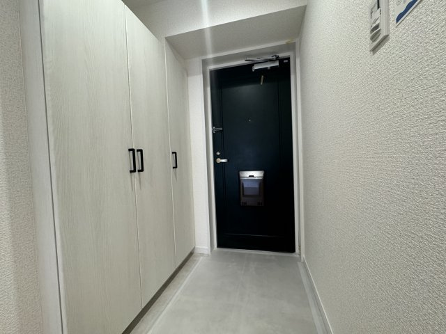 シャトー安城の玄関|収納もある玄関です