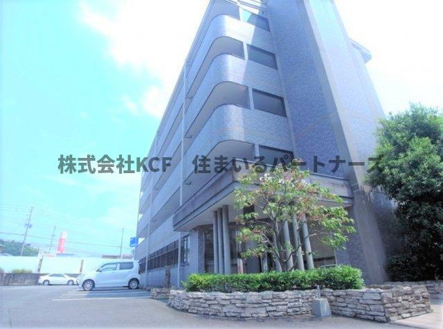 セレンディピティのその他