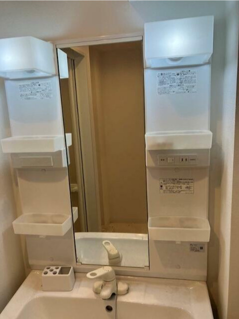 ライジングプレイス浅草イーストの洗面所