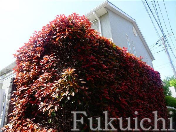 SUNNY COURT(サニーコート)