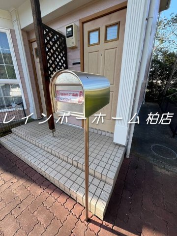 仲介手数料（賃料の1.10ヵ月）の50％OFF対象物件！のエントランス|落ち着いたエントランスです