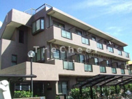 KAMELIA(カメリヤ)の画像