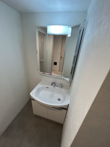 【洗面所】ソルテラス神戸栄町通