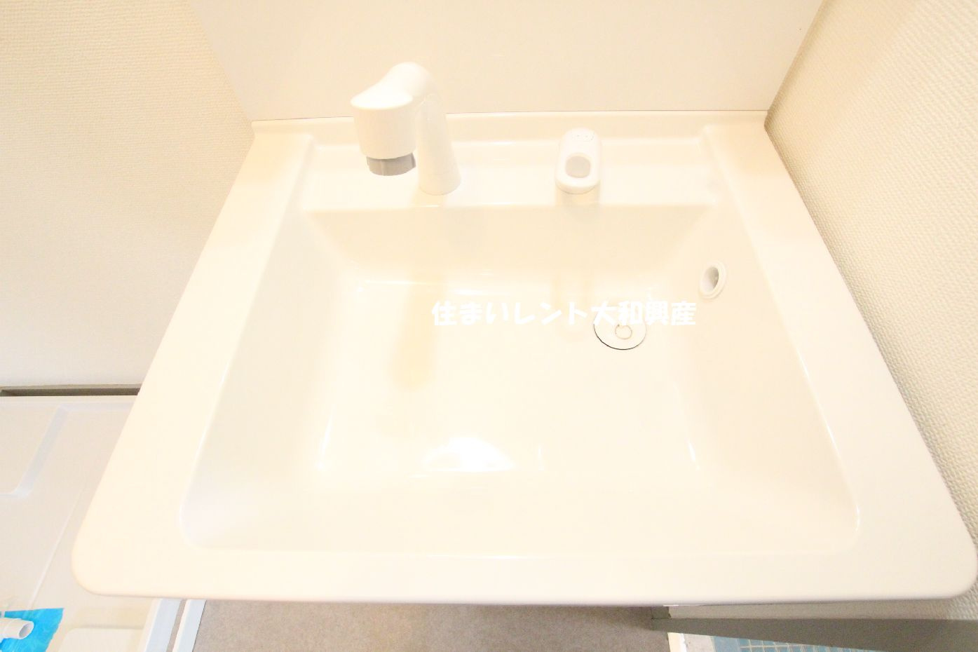 平和コーポの洗面所