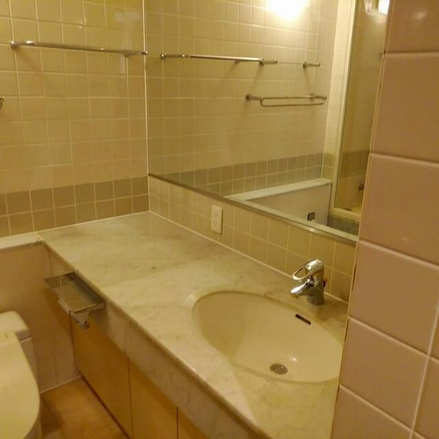 ルーフ御茶ノ水ヒルズの洗面所