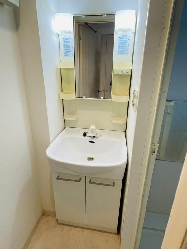 ニューシティアパートメンツ南千住の洗面所