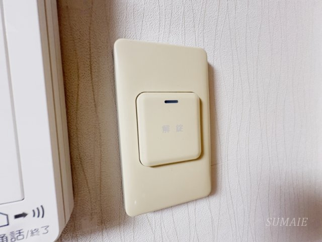 エヌユービルのセキュリティ|オートロックはこちらで開錠☆