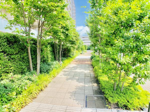 Ｂｒｉｌｌｉａときわ台ソライエレジデンスのその他