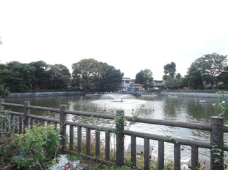 碑文谷公園607ｍ