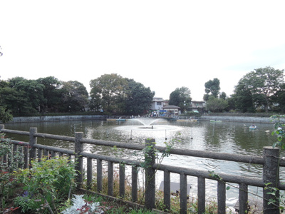 碑文谷公園607ｍ