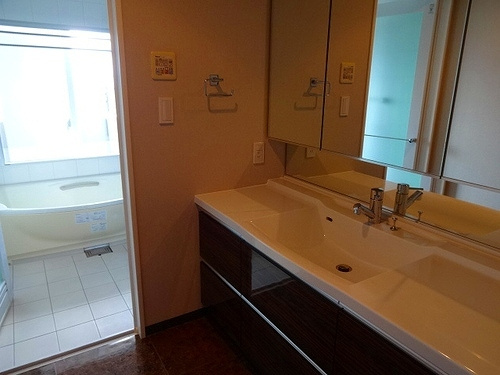 ザ・タワー大阪の洗面所