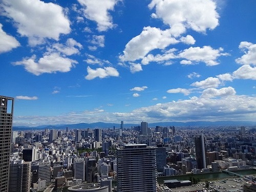 ザ・タワー大阪のその他|バルコニーからの眺望　※前回募集時／２０２０年８月の写真