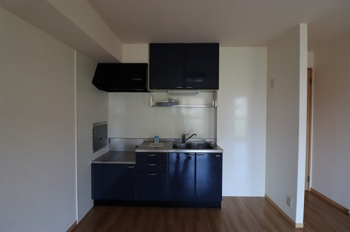 セジュール梨香のキッチン|キッチン