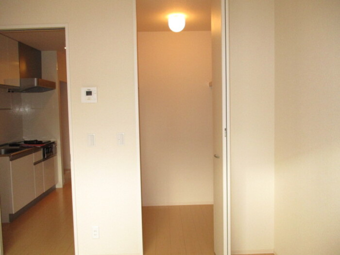 プルメリアの収納|ウオークインクローゼット