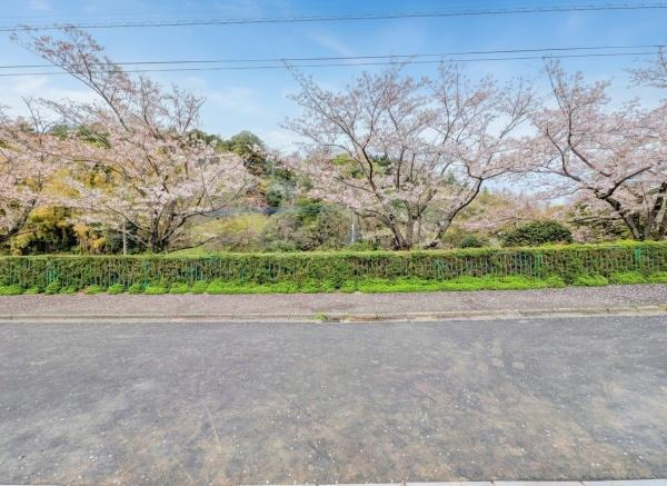 横浜市青葉区奈良町の新築一戸建の前面道路含む現地写真|閑静な住宅街につき住環境良好です♪