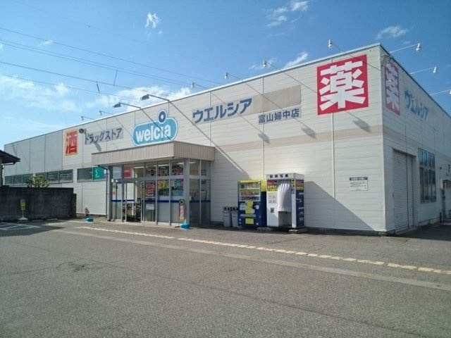 メゾンド・ソレイムの周辺|ウエルシア婦中店まで850m