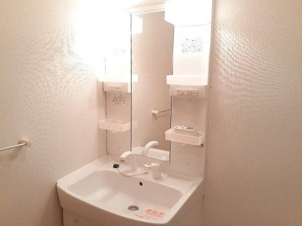 カーサほのかの洗面所
