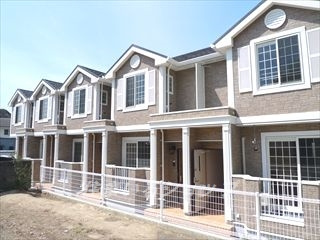 アプリコットの外観