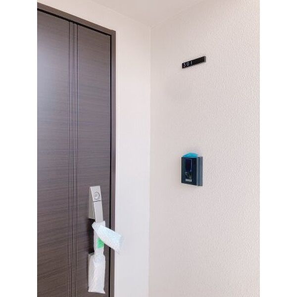 スリーアイランドタワー車道の玄関