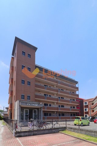 イルプリモ上津