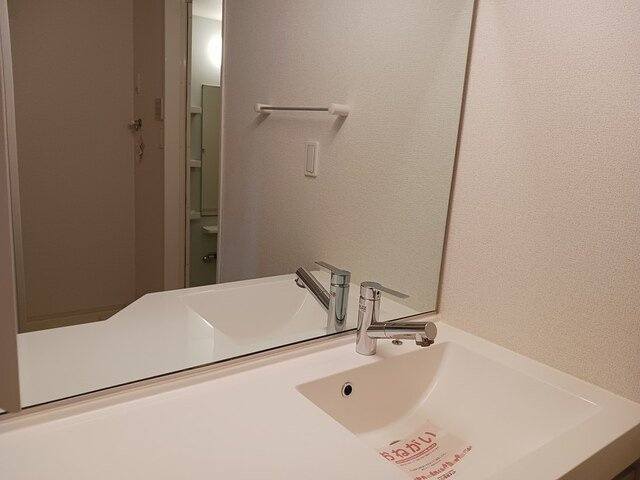 ドメーヌ・Ｓの洗面所