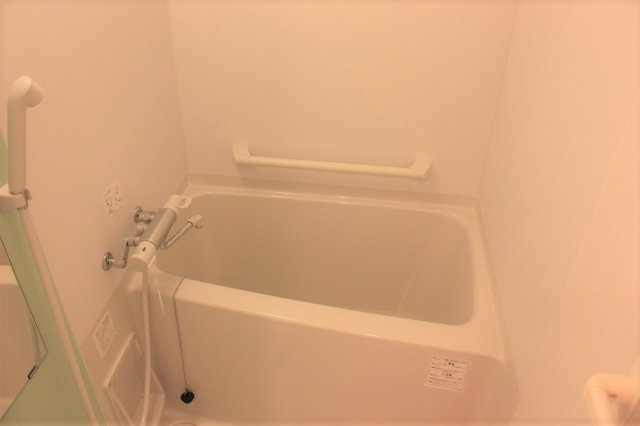 レオネクストラブバードの浴室|きれいなお風呂です