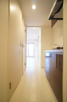 リブリ・Harlのその他